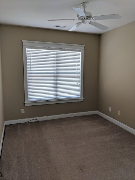 Building Photo - BIRKDALE VILLAGE 3 BEDROOM/2 BATH