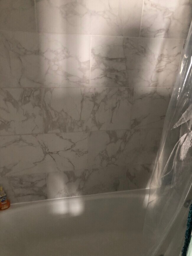 Shower/Tub - 3550 N Lake Shore Dr