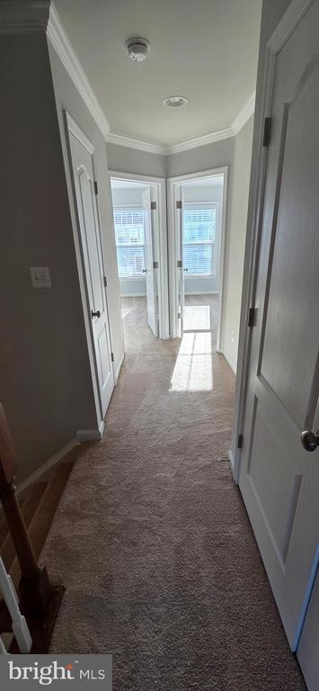 Building Photo - 41836 Diabase Square