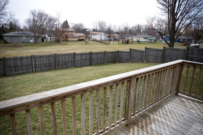 Backyard - 16 Beckwith Road