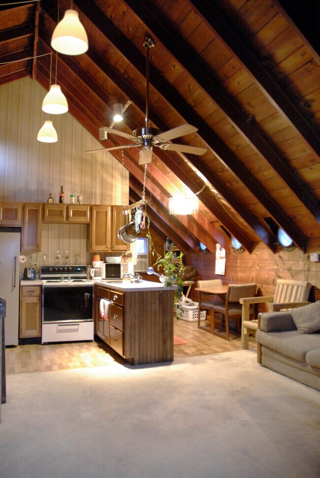 Cedar walls & ceilings - 28576 W Lindbergh Dr