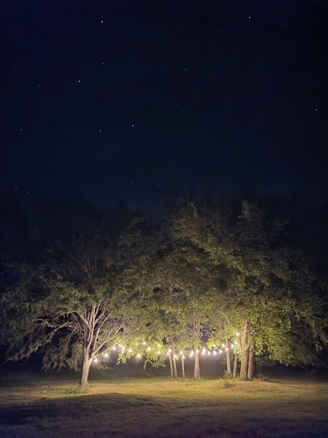Back yard at night - 179 Davis Rd