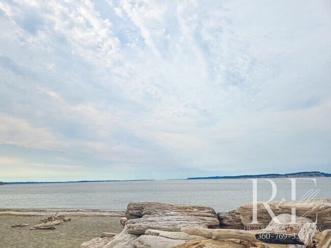 Building Photo - Private Beach Access – Bright, Breezy Livi...