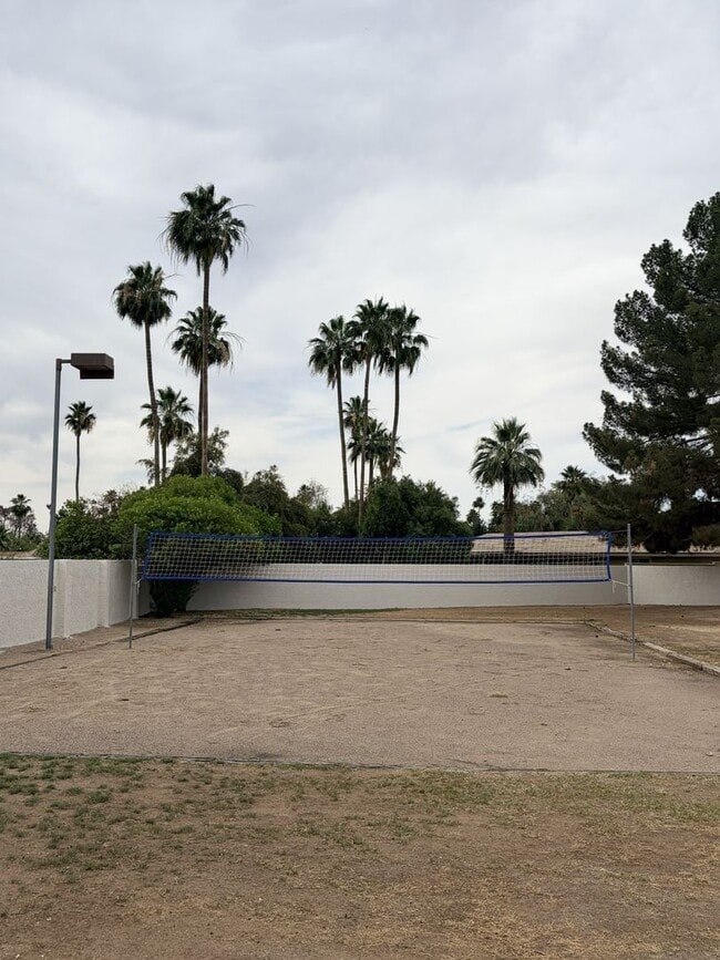 Building Photo - 985 E Campina Ln