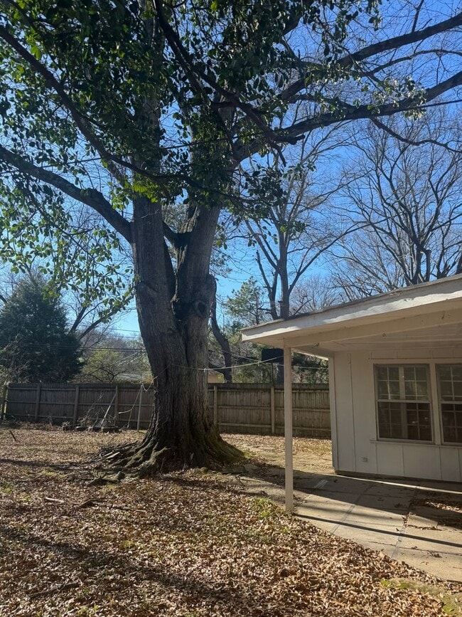 Building Photo - 510 S 19th St