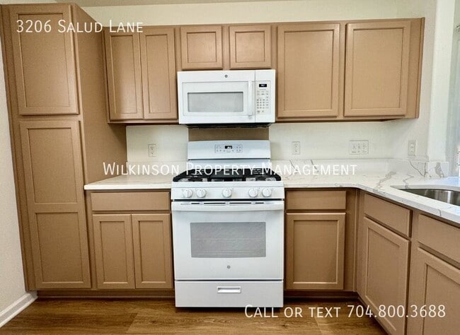 Building Photo - 3206 Salud Ln