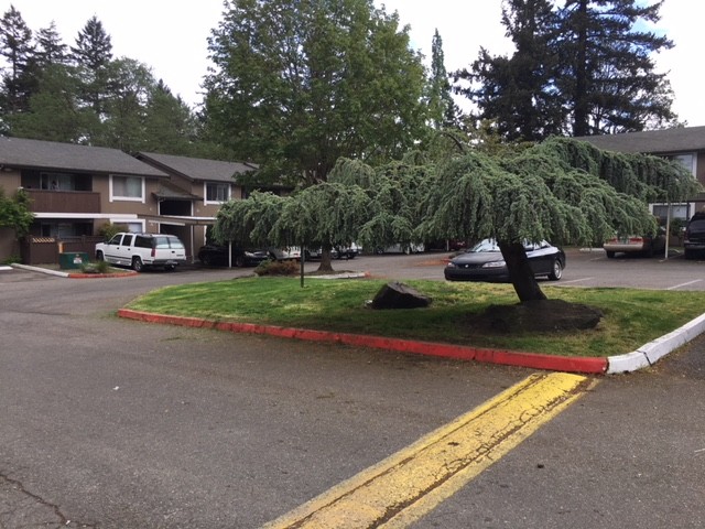 Primary Photo - Silver Ridge Apartments