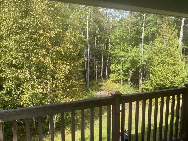 Building Photo - 49 Springbrook Dr