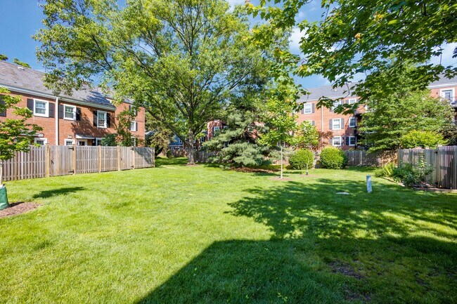 Building Photo - Fairlington 2 BR Condo for Rent!