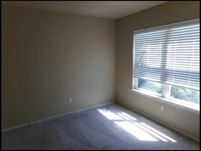 Building Photo - 316 Saunders Dr