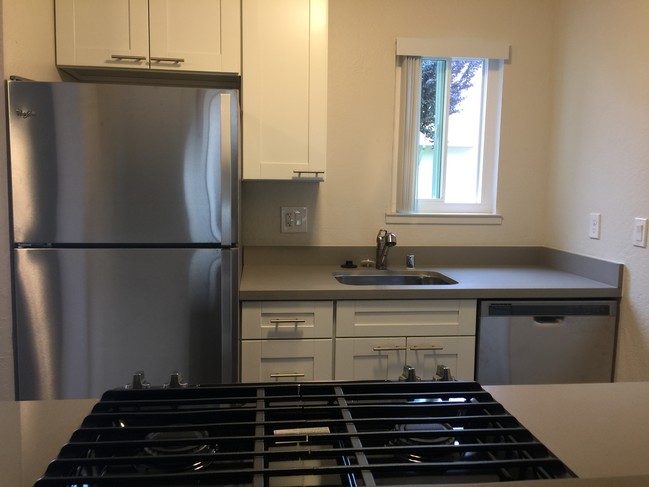 Luxury Remodel Kitchen - Meadow View Apartments