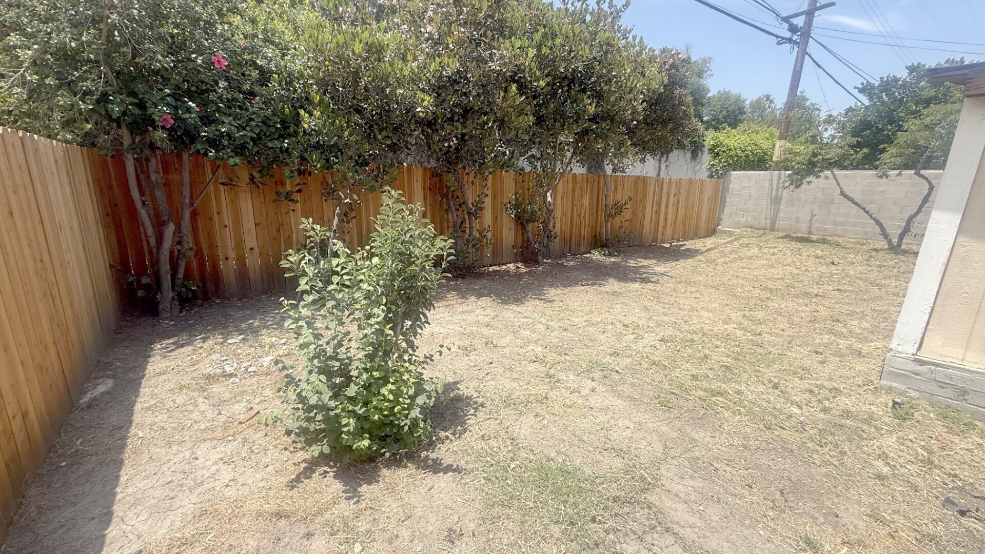 Building Photo - 6243 Blucher Ave