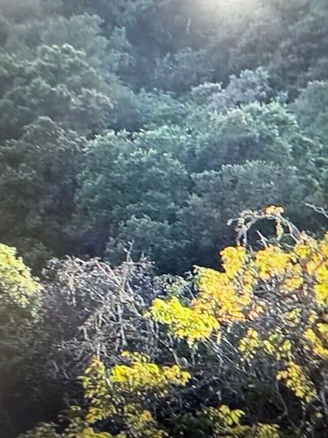 Building Photo - Country setting