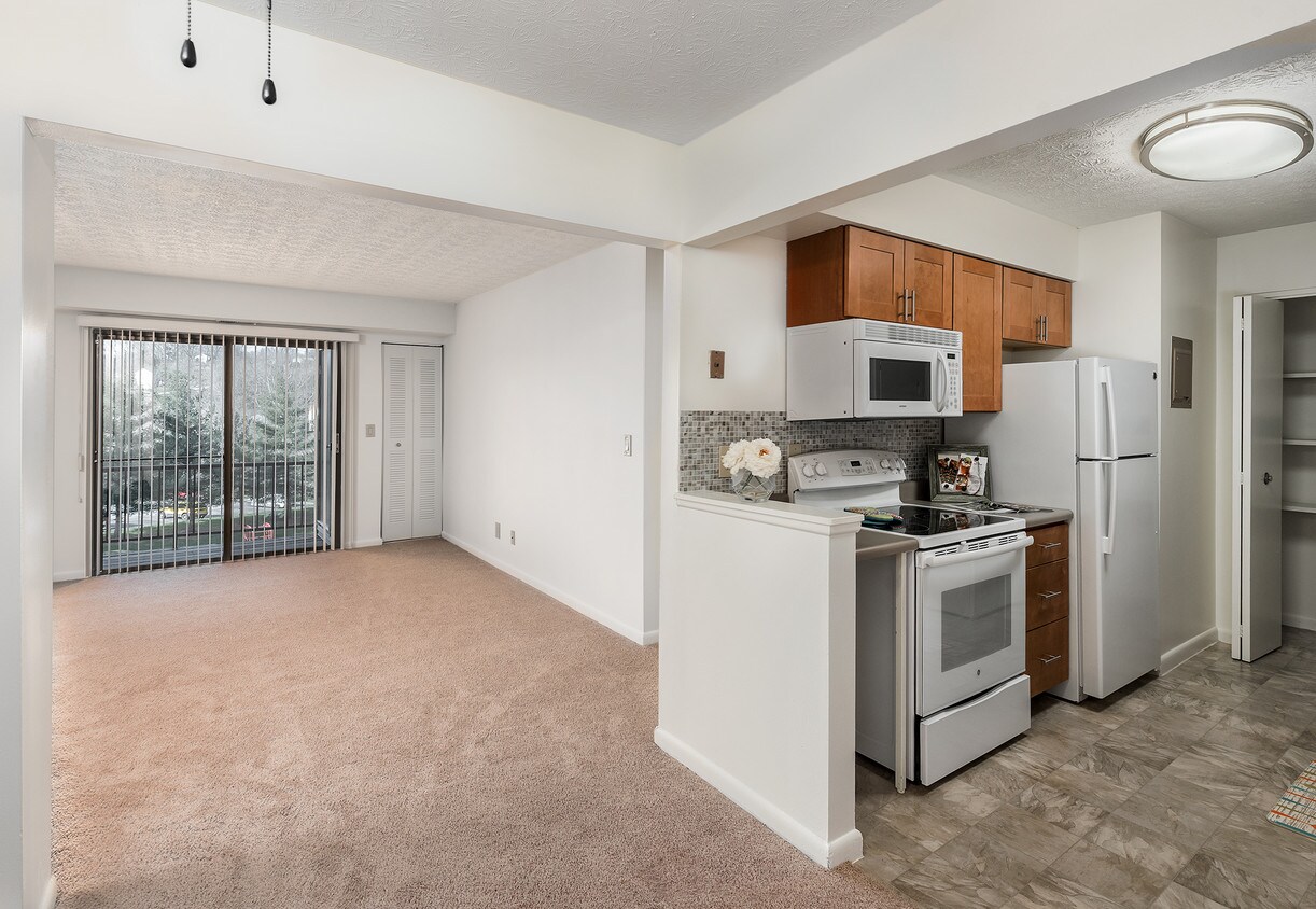 Roxalana Hills Apartments Dunbar