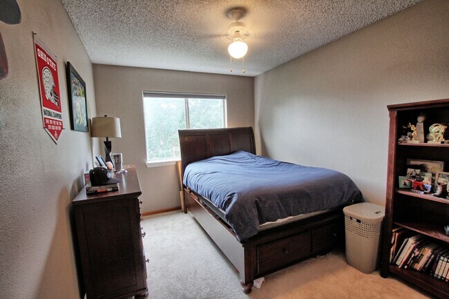 Building Photo - 4 bed 3 bath home in Clarke Farms Parker