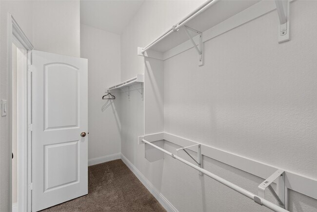 Building Photo - 2819 Diamondback Dr