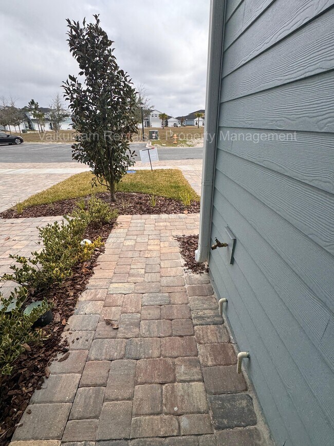 Building Photo - 91 Silver Myrtle Ct