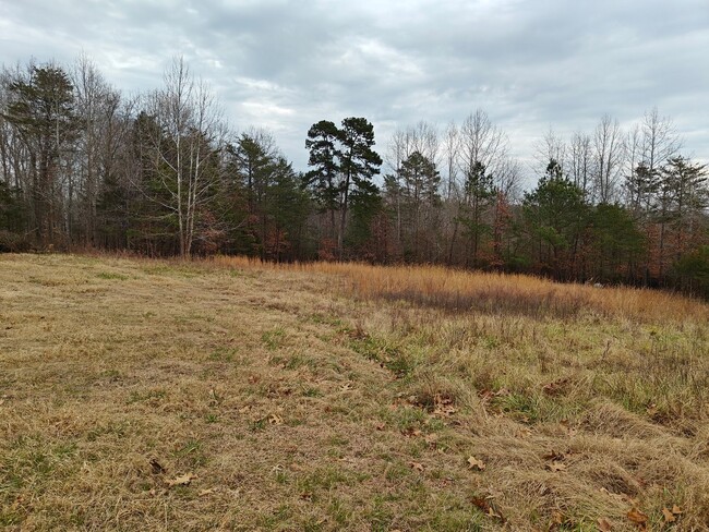 Building Photo - New 3 bedroom home on 2 acres