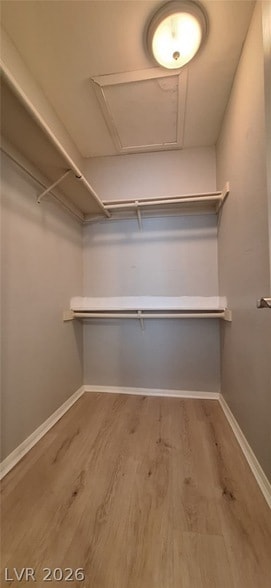 Building Photo - 1455 E Katie Ave