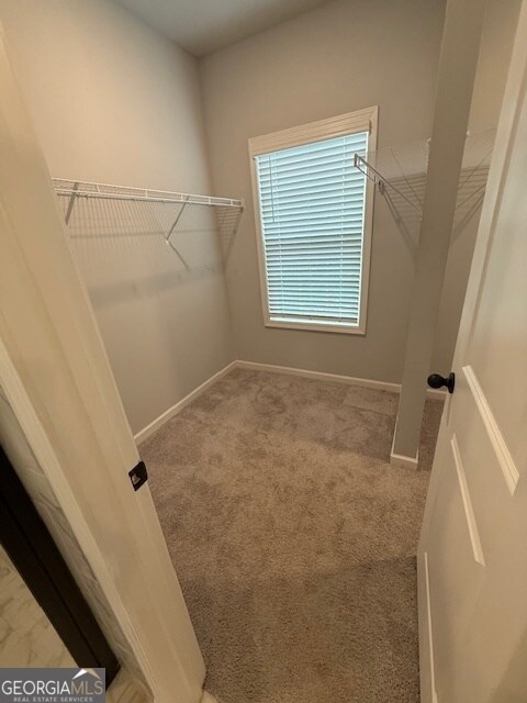 Building Photo - 123 Weeping Moss Way