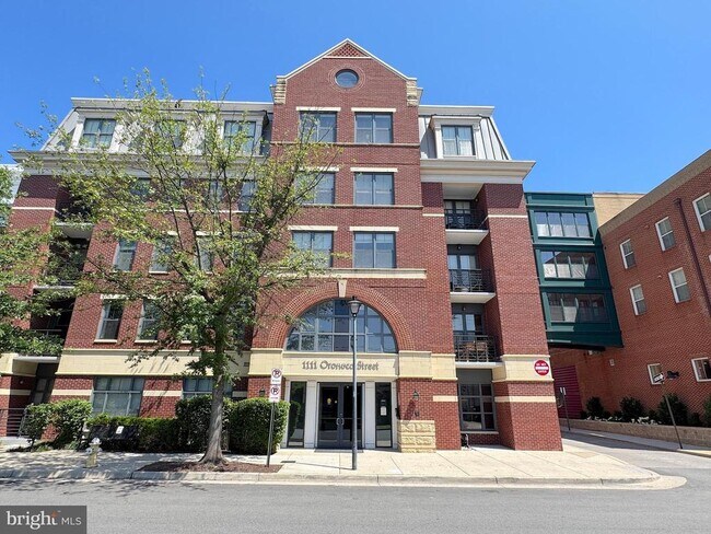 Building Photo - 1111 Oronoco St