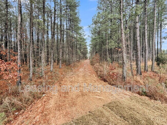 Building Photo - 245 Summer Tanager Dr