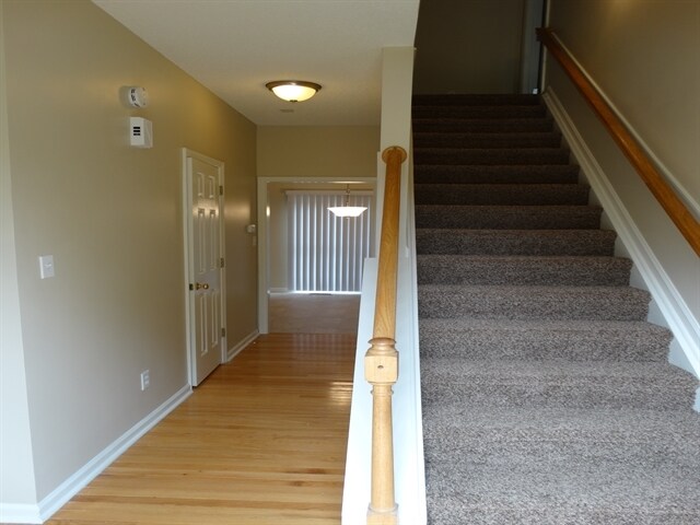 Building Photo - 5385 Angel Oaks Dr