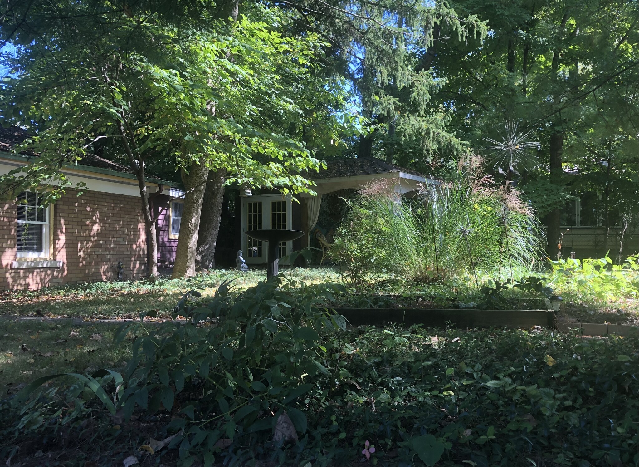Beautiful garden just outside the window - 1003 E Hunter Ave