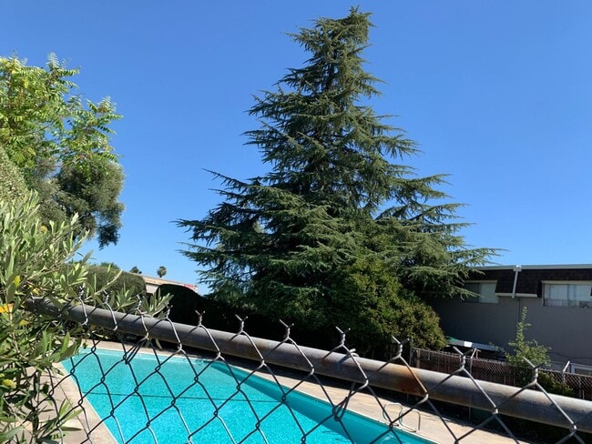 Building Photo - 2 bedroom 1.5 bath condo! Half off 2nd months rent Move in Special!