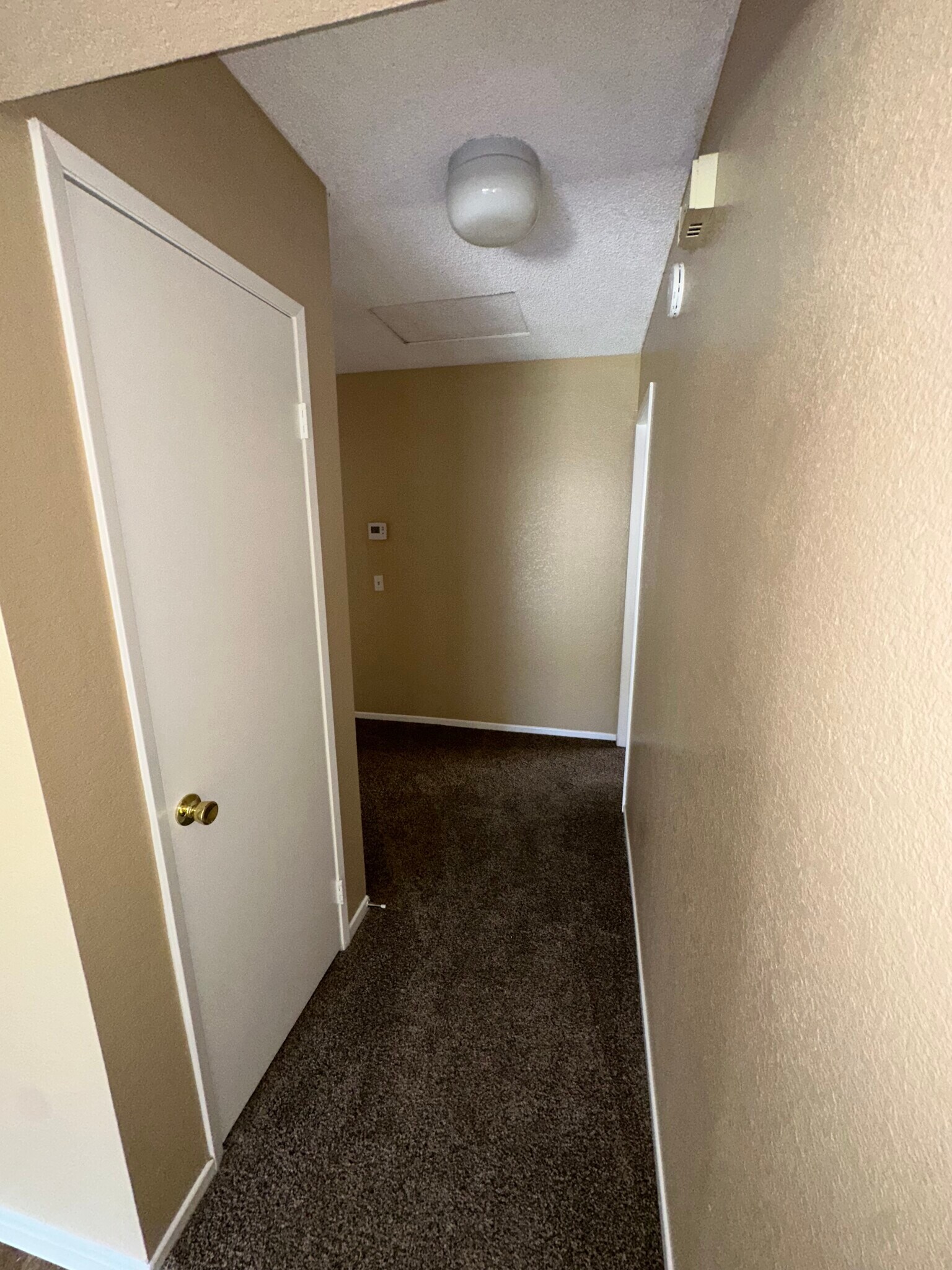 Building Photo - 2726 Coria Pl
