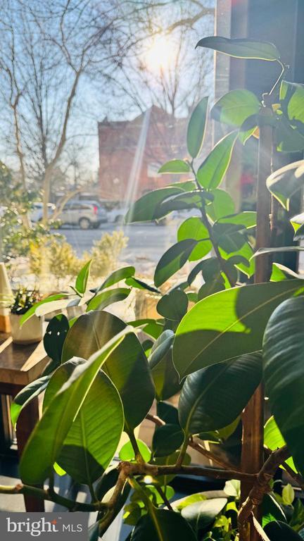 Building Photo - 3601 Wisconsin Ave NW