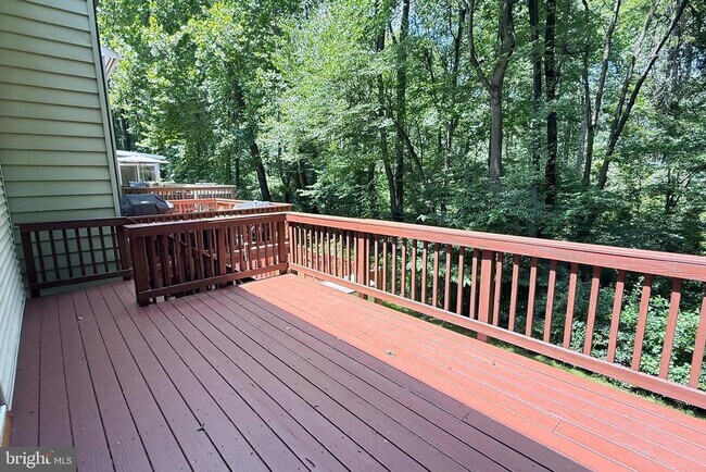 Building Photo - 10100 Walnut Wood Ct