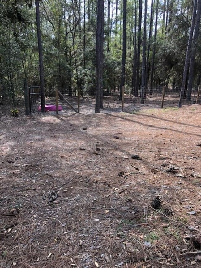 Building Photo - 2 BEDROOM 2 BATH MOBILE ON 2.21 ACRES IN LAKE TROPICANA RANCHETTES