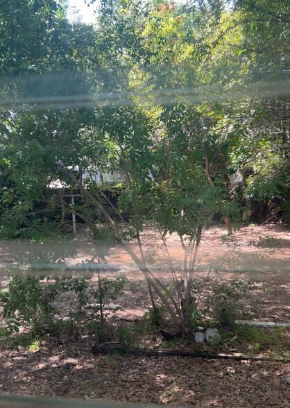 Backyard - 12110 NE 11th Pl