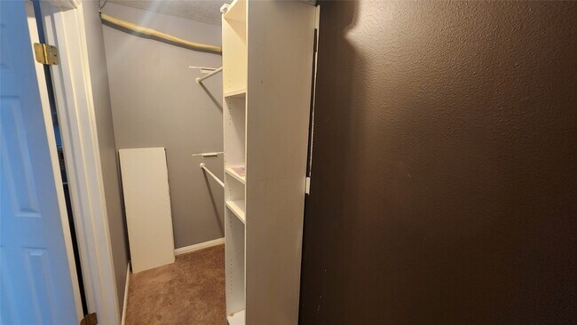 Building Photo - 5015 Orange Tree Dr