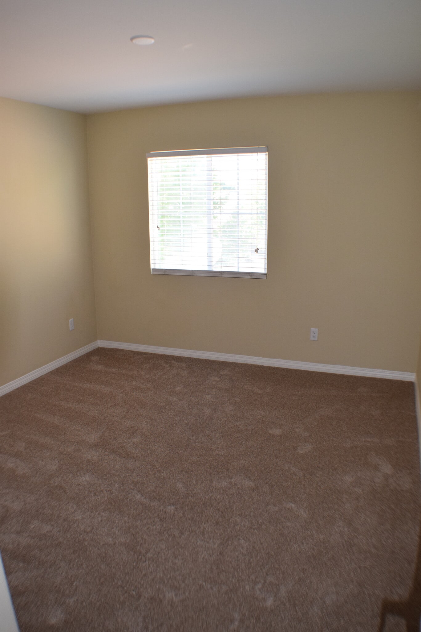 Building Photo - 32436 Shadow Canyon Trl