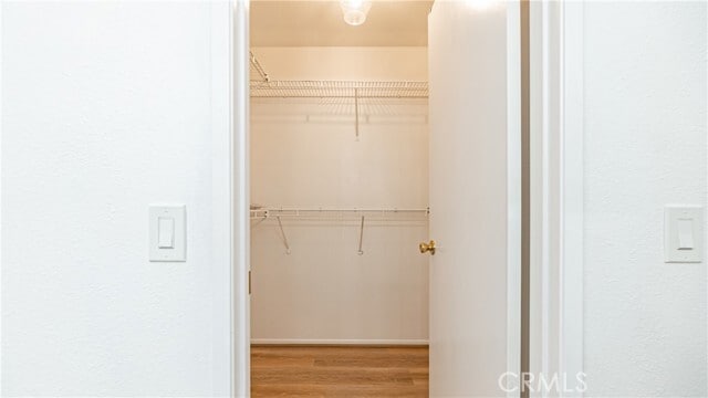 Building Photo - 19036 Singingwood Cir