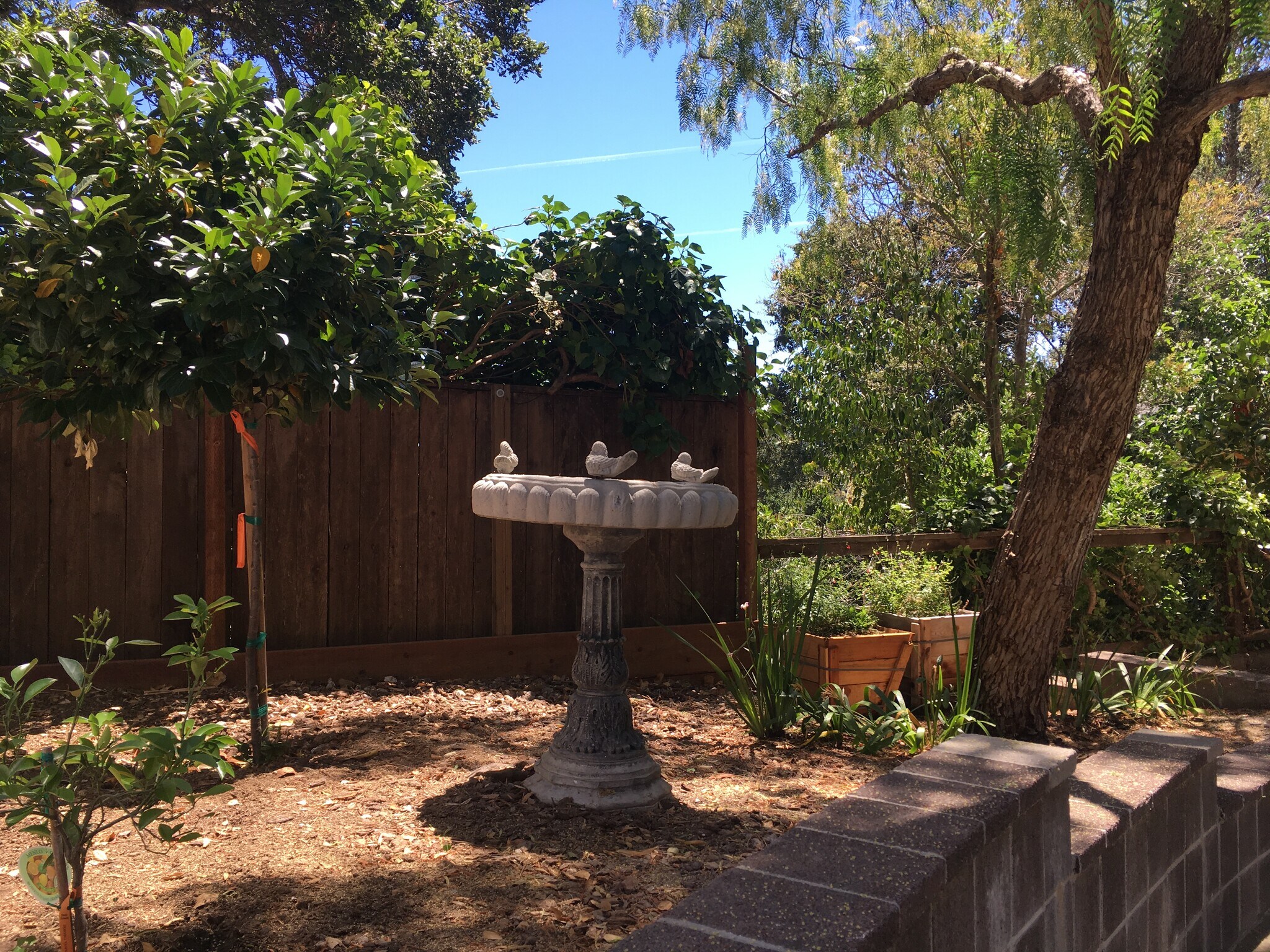 Building Photo - 4 Miramar Ave