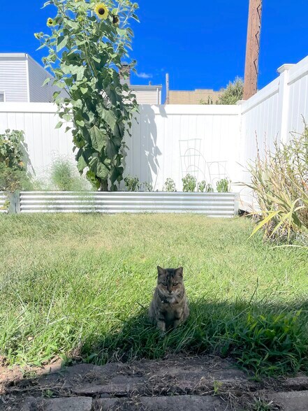 Private Backyard - 7 Duncan Ct