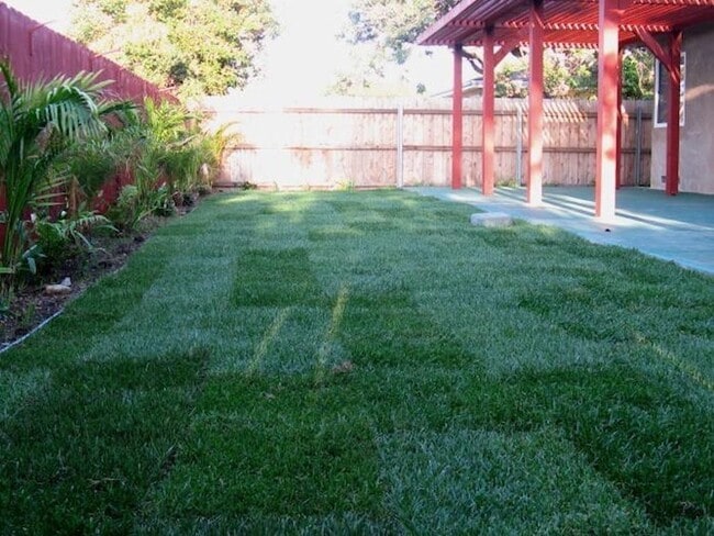 Building Photo - SDSU available AUGUST 2026 - 5 Bedrooms / 2 1/2  Bathrooms Large house in walking distance to SDS...