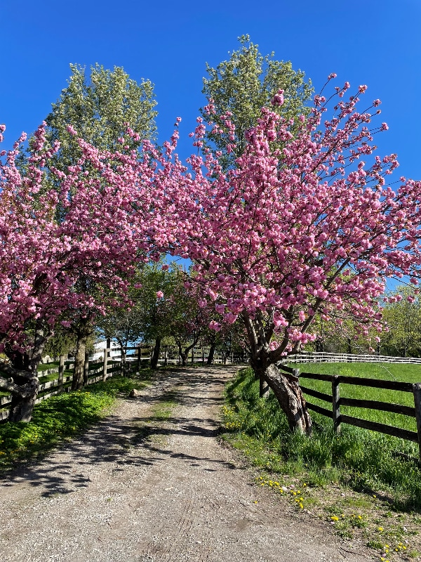 Building Photo - 53 Hortons Rd