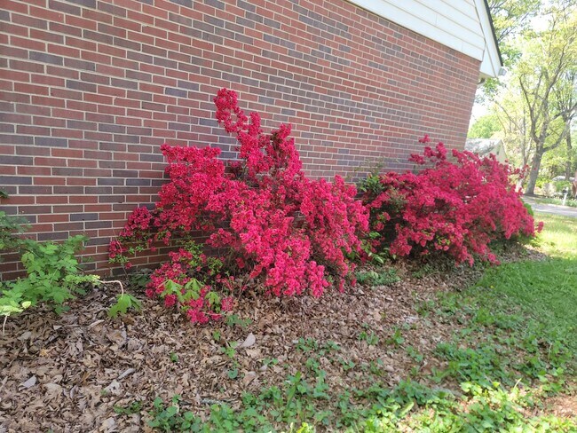 Building Photo - Delightful 3 Bedroom Home for Rent in Henrico