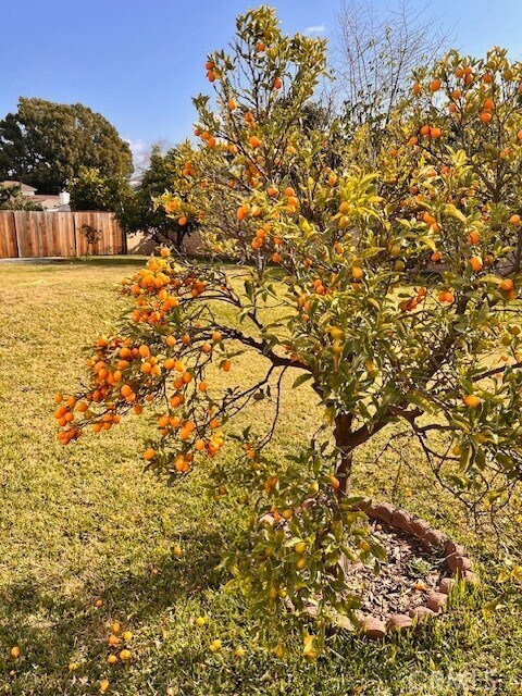 Building Photo - 1054 Mayflower Ave