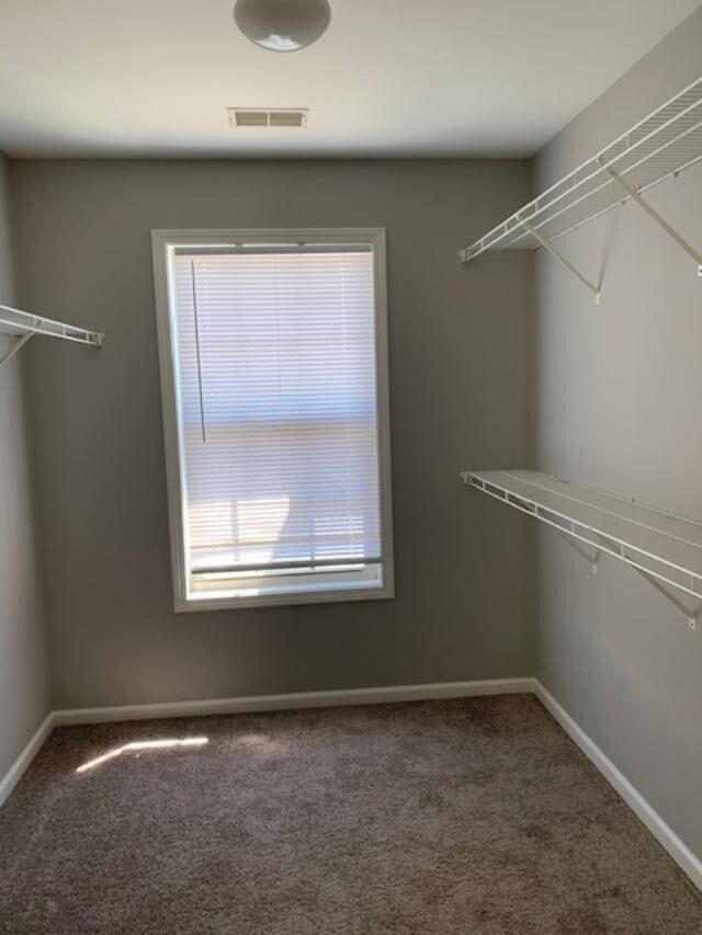 Building Photo - 3212 Sweet Clover Ln