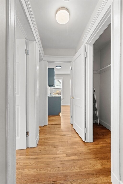 Building Photo - 40 Ripley Rd