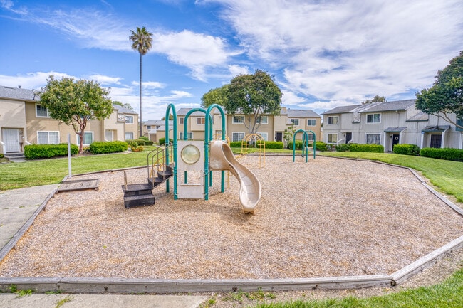 Building Photo - 4252 Comet Cir