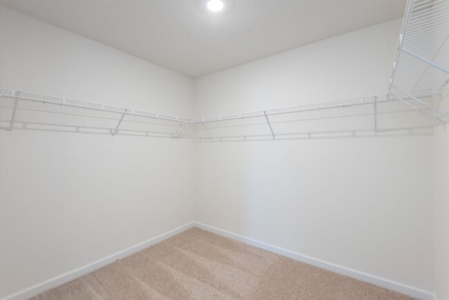Building Photo - 5513 English Holly Wy