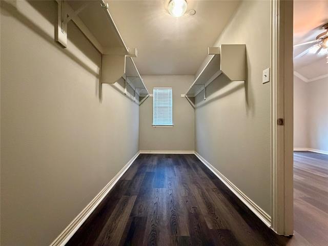 Building Photo - 8738 Bigelow Dr