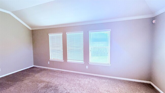 Building Photo - 16627 Fiesta Rose Ct