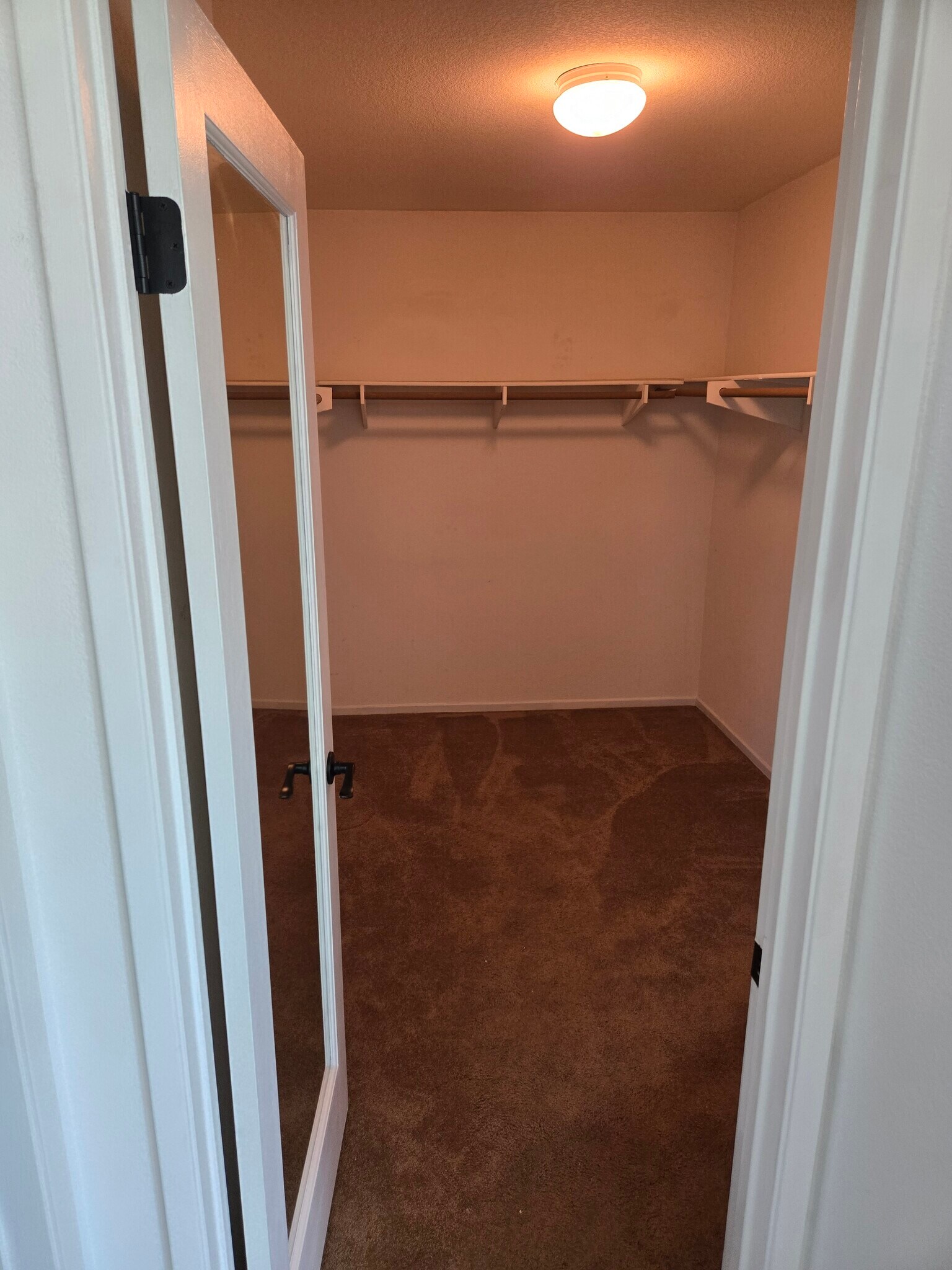 Master Walk-in closet - 4747 Camberley Ct